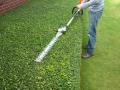 hedge trimming